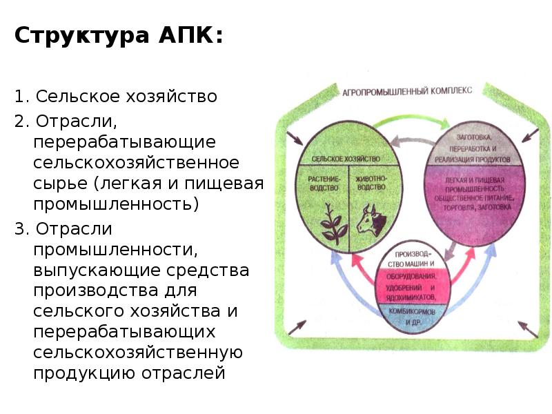 Какая структура сельского хозяйства