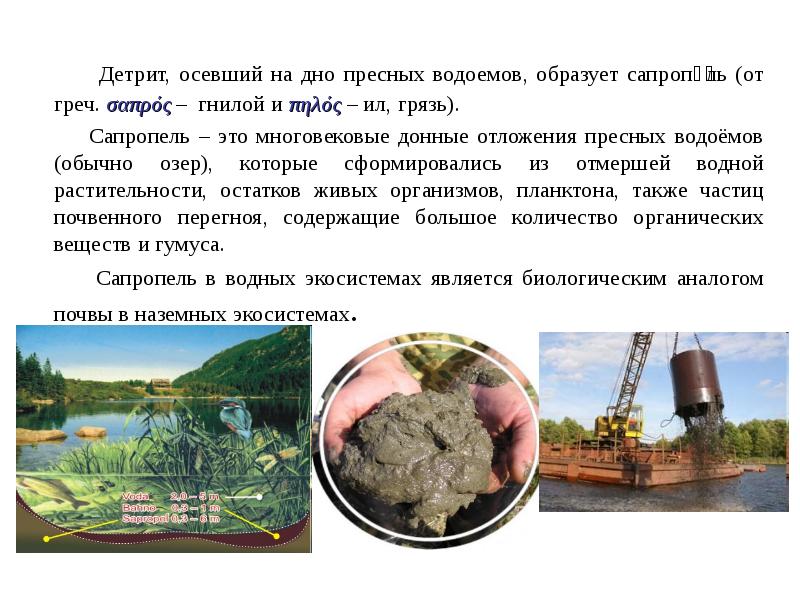 Детрит, осевший на дно пресных водоемов, образует сапропе́ль (от греч. σαπρός Детрит, осевший на дно пресных водоемов, образует сапропе́ль (от греч. σαπρός