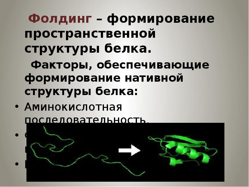 Фолдинг белка. Нативная пространственная структура это. Фолдинг белков биохимия. Процесс формирования нативной структуры белка.