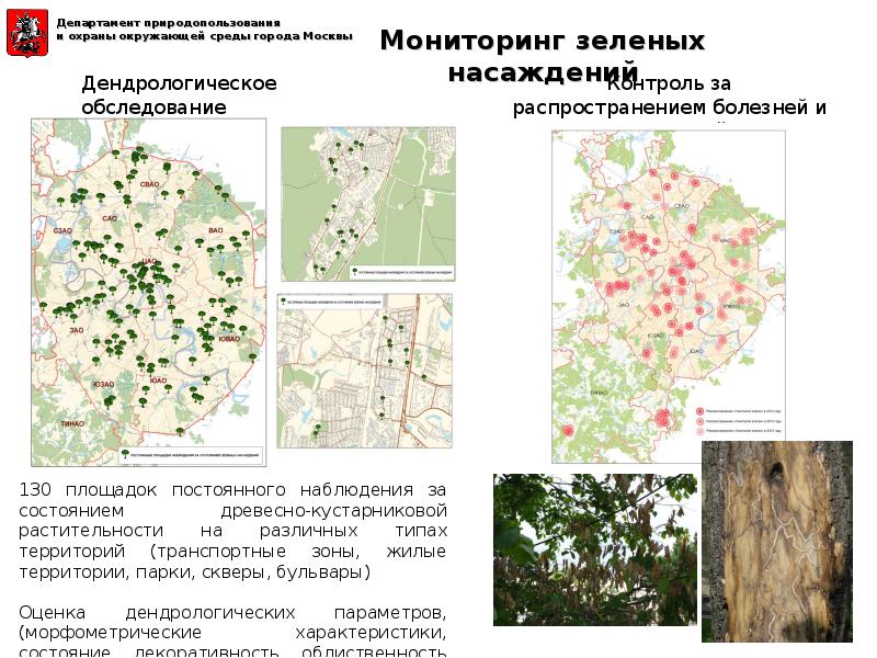 Карта мониторинга. Биоиндикационный мониторинг зеленых насаждений города. Схема мониторинга зеленых насаждений. Экологический мониторинг в Москве. Экологический мониторинг растений.