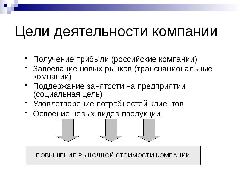 Цель проекта получение прибыли