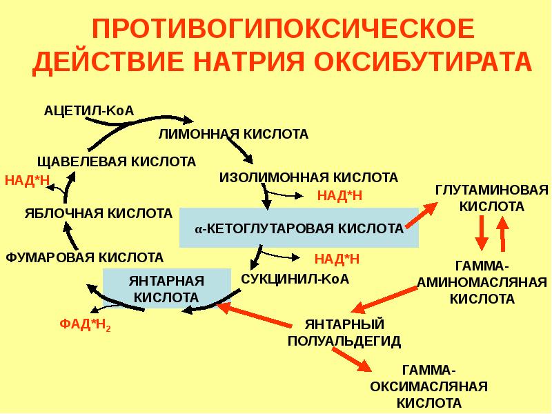 Гамма Оксимасляная Кислота Купить В Аптеке