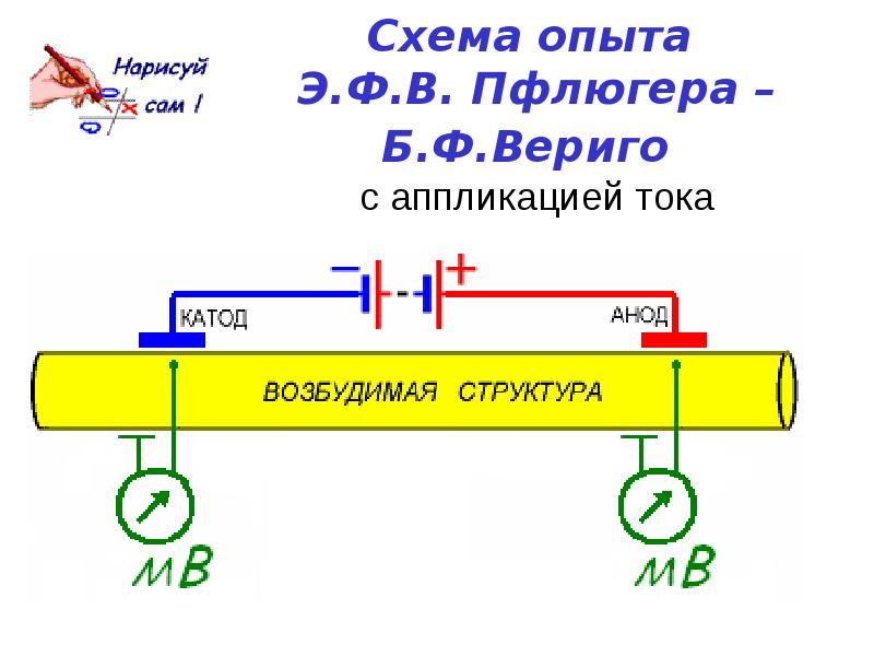 Схема опыта это