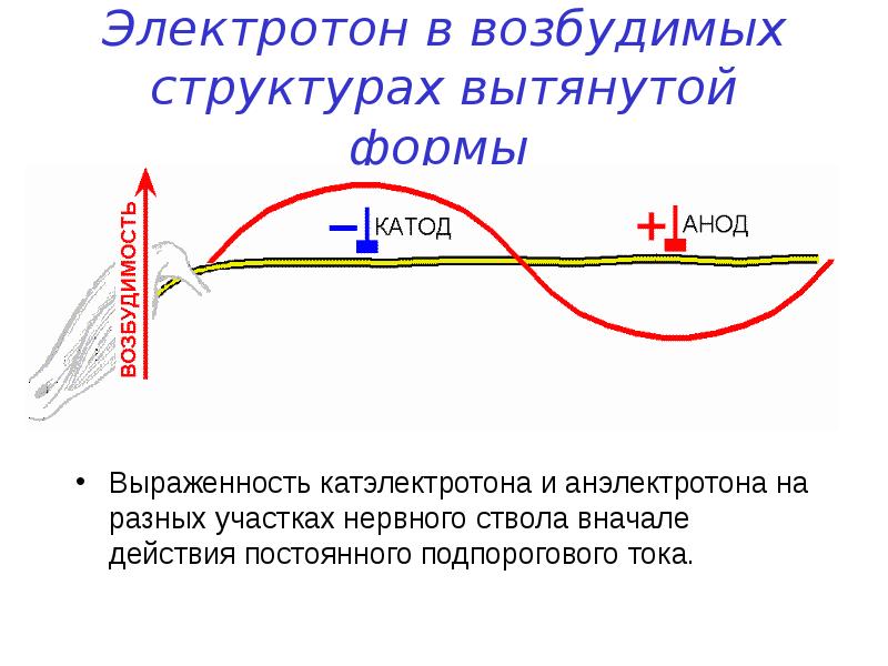 Образование вытянутой формы