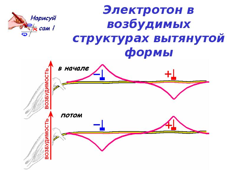 Электротон. Физиологический электротон это физиология. Закон электротона физиология. Физический электротон физиологический электротон. Электротон катодическая депрессия.