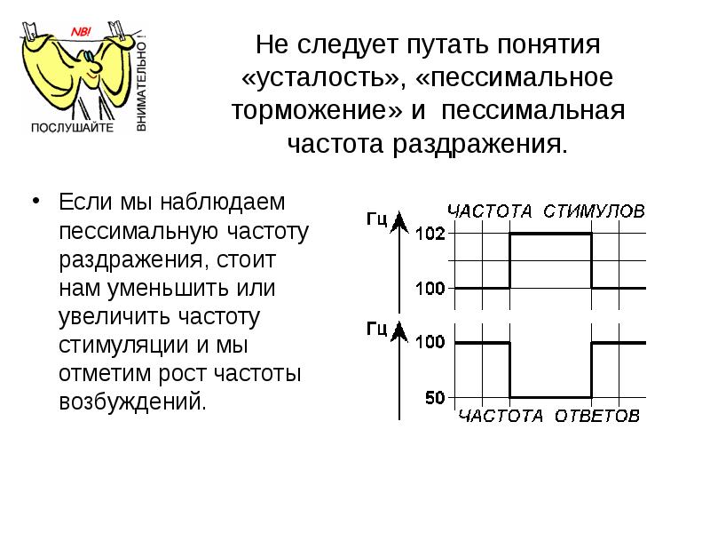 Закон частоты. Закон частоты раздражения.