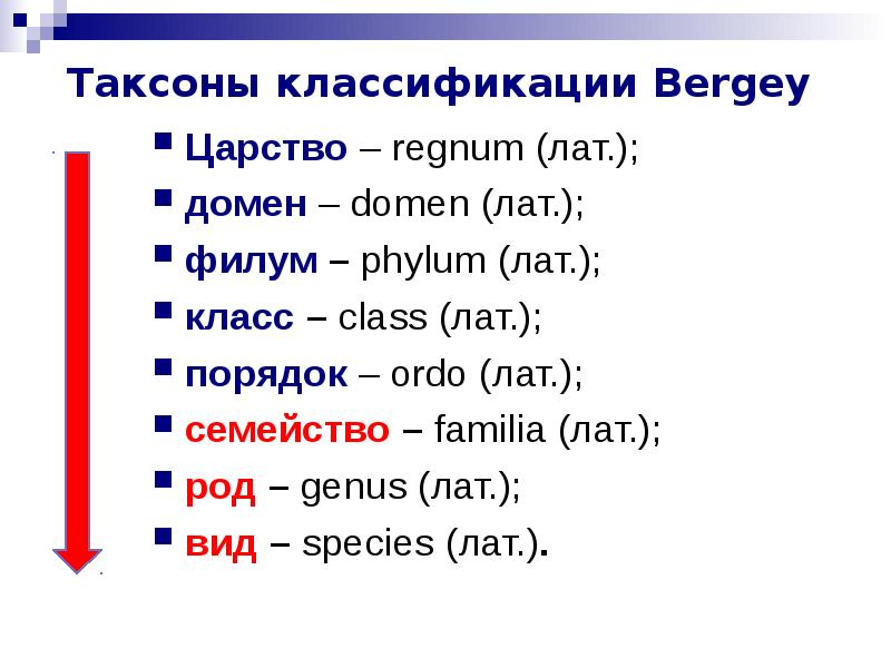 Домен таксон. Классификация таксонов. Классификация Берджи микробиология. Таксономическая классификация человека. Домен филум класс порядок семейство род вид стафилококк.