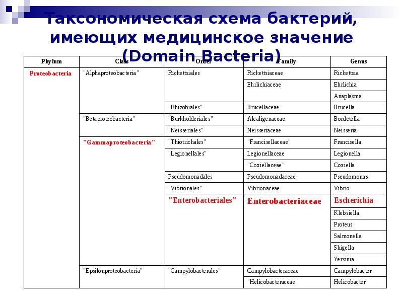 Микробиология в таблицах и схемах