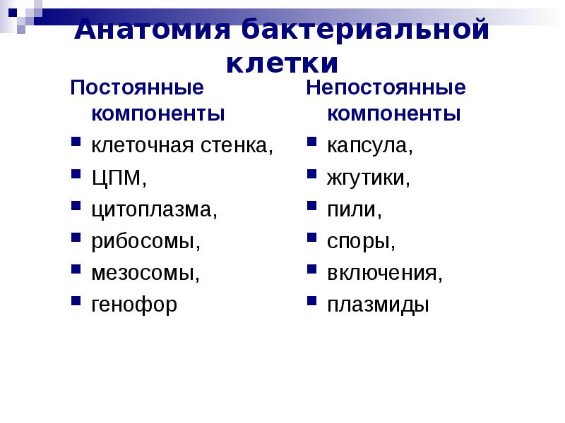 Структура бактериальной клетки микробиология презентация