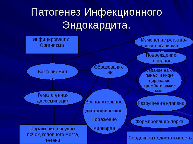 Патогенез Инфекционного Эндокардита. Патогенез Инфекционного Эндокардита.