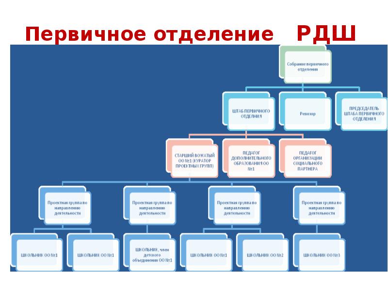 Создание первичного отделения движение первых. Первичное отделение РДШ. Первичное отделение школы структура. Структура первичного отделения РДШ В школе. Первичное отделение РДШ В школе схема.