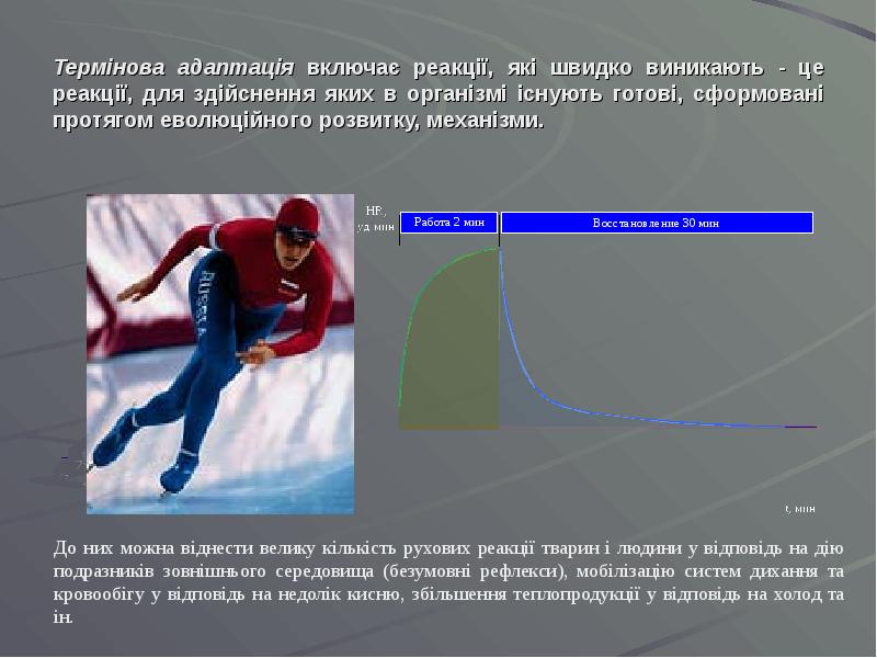 Термінова адаптація включає реакції, які швидко виникають - це реакції, для