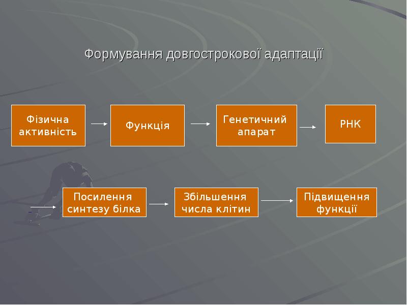 Формування довгострокової адаптації