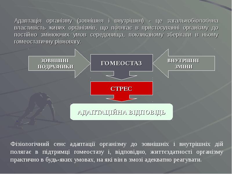 Адаптація організму (зовнішня і внутрішня) - це загальнобіологічна властивість живих організмів,