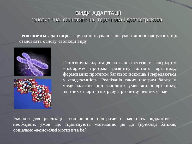 ВИДИ АДАПТАЦІЇ генотипічна, фенотипічна, термінова і довгострокова
