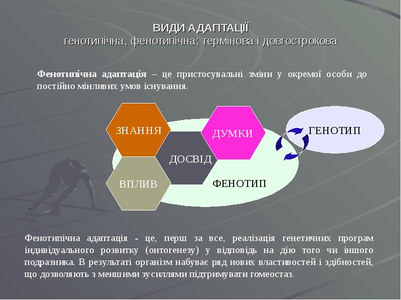 ВИДИ АДАПТАЦІЇ генотипічна, фенотипічна; термінова і довгострокова