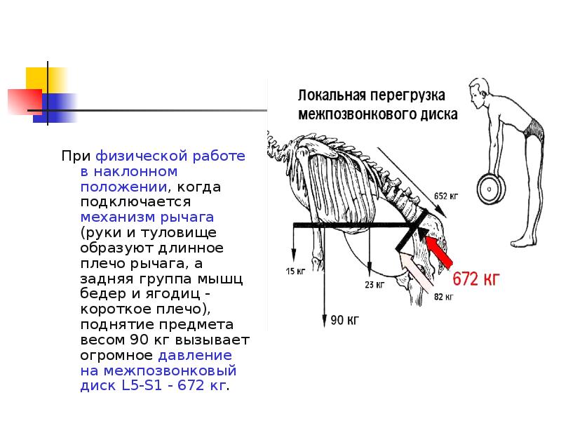 Наклонное положение. Мышцы принцип рычага. Рычаг наклона. При работе в наклонном положении. Рычаг короткое и длинное плечо.