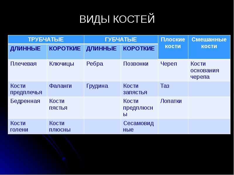 ВИДЫ КОСТЕЙ