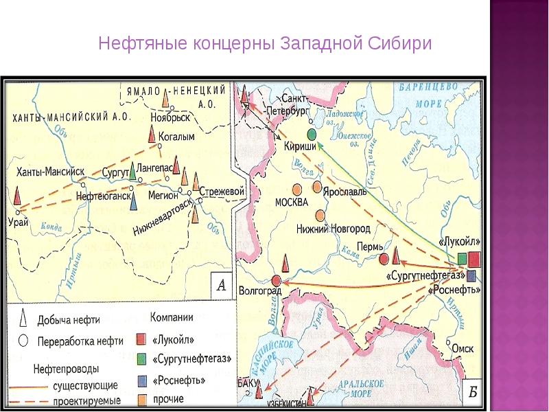 Западная сибирь презентация 9 класс география полярная звезда