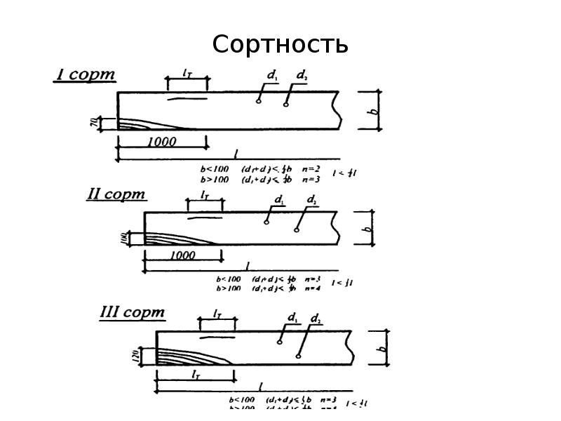 Сортность