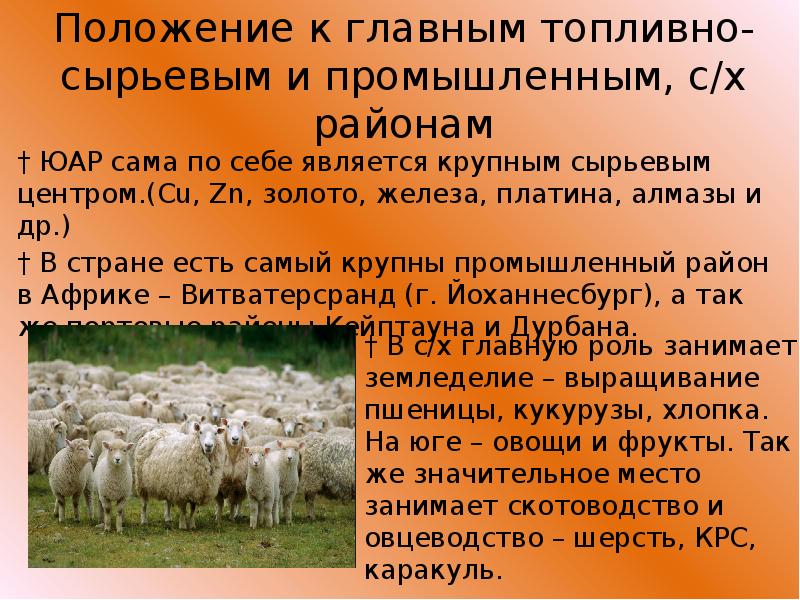 Положение по отношению к главным районам сбыта продукции юар карта