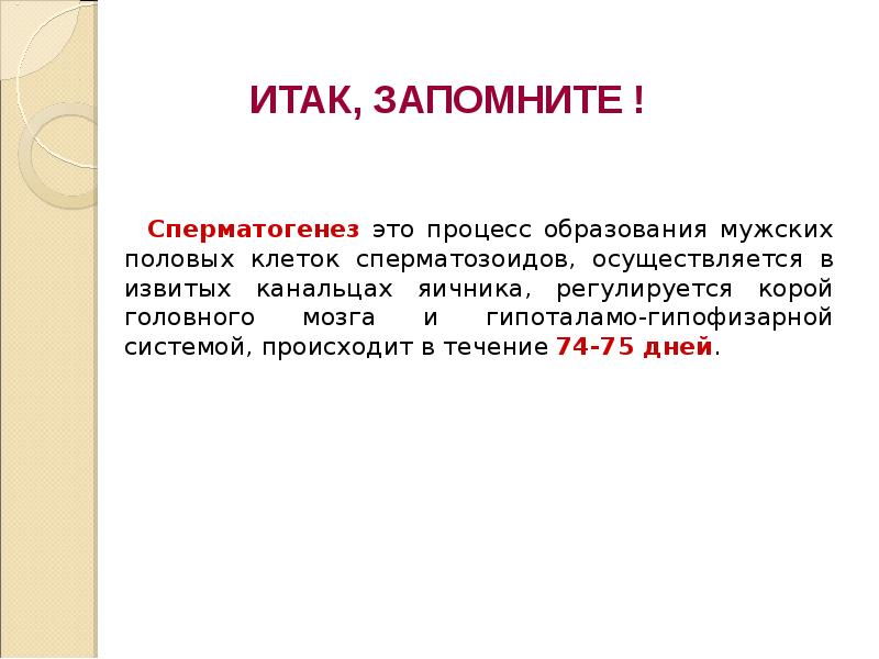 Презентация «Гаметогенез. Оплодотворение»