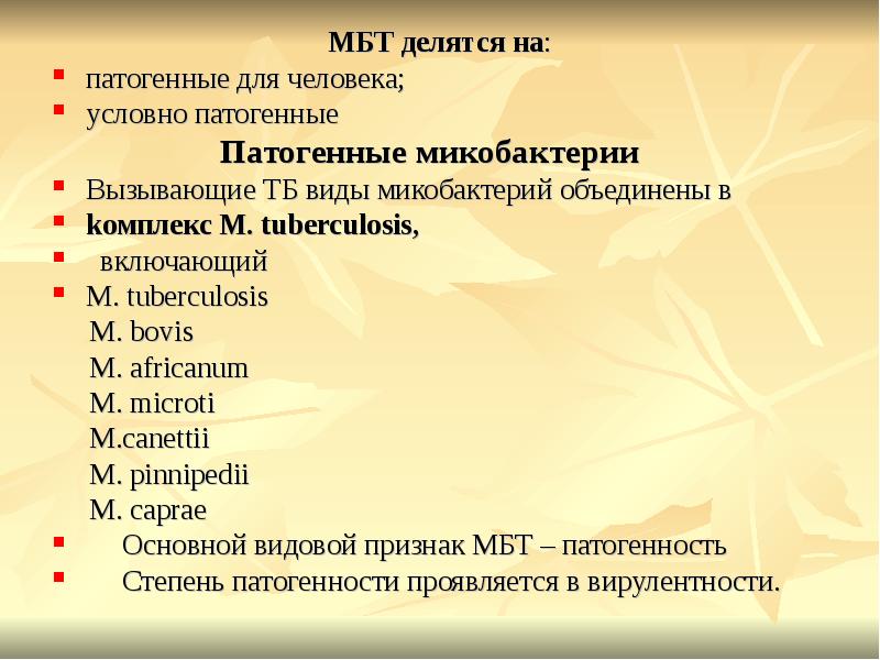 условно патогенные микобактерии