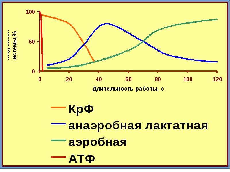 Пороговый уровень лактата. Аэробные и анаэробные возможности организма. Аэробная работоспособность это. Аэробная лактатная и алактатная. Аэробная и анаэробная работоспособность.