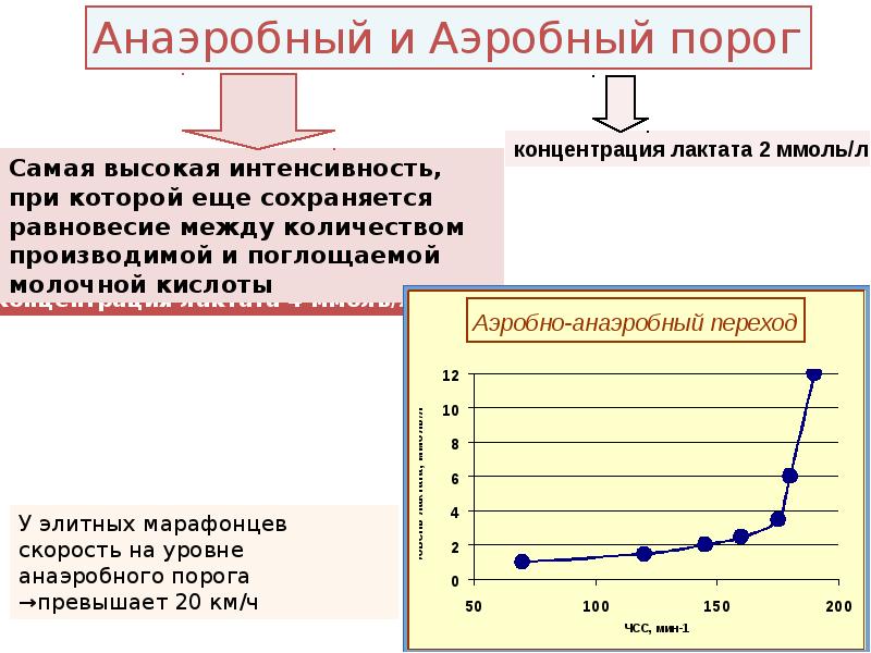 Порог анаэробного обмена пано