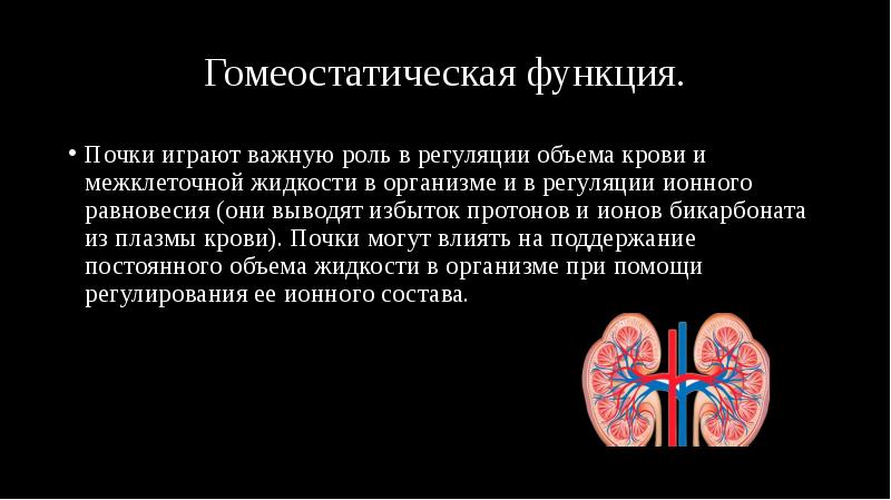 Гомеостатическая функция.
Почки играют важную роль в регуляции объема крови и Гомеостатическая функция.
Почки играют важную роль в регуляции объема крови и