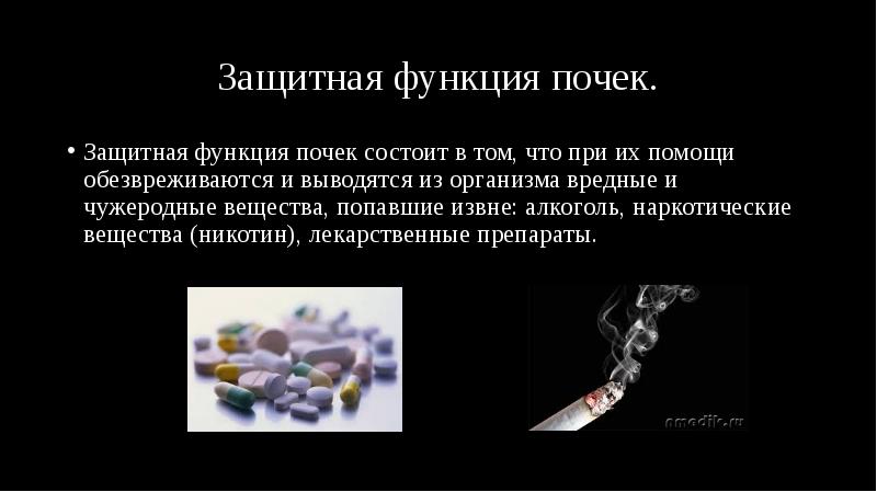 Защитная функция почек.
Защитная функция почек состоит в том, что при Защитная функция почек.
Защитная функция почек состоит в том, что при
