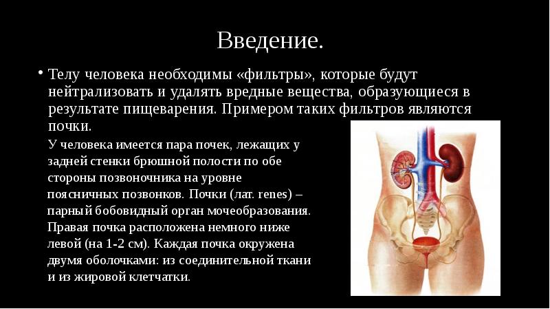 Введение.
Телу человека необходимы «фильтры», которые будут нейтрализовать и удалять вредные Введение.
Телу человека необходимы «фильтры», которые будут нейтрализовать и удалять вредные