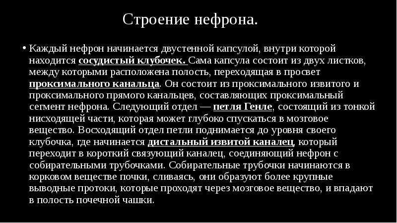 Каждый нефрон начинается двустенной капсулой, внутри которой находится сосудистый клубочек. Сама Каждый нефрон начинается двустенной капсулой, внутри которой находится сосудистый клубочек. Сама