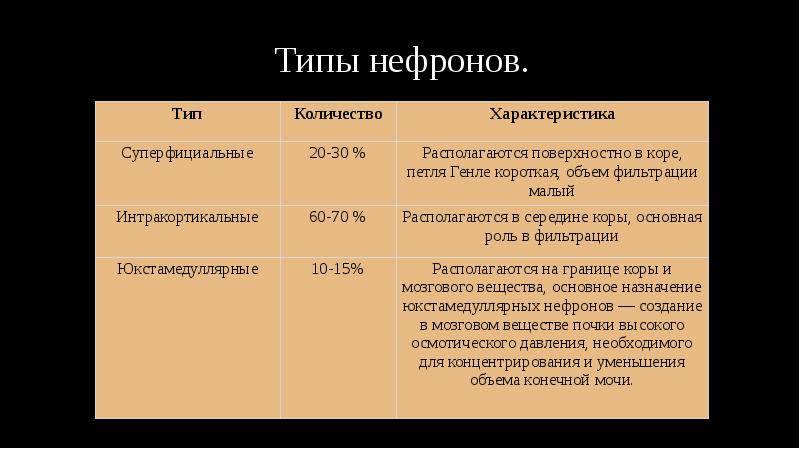 Типы нефронов. Типы нефронов.