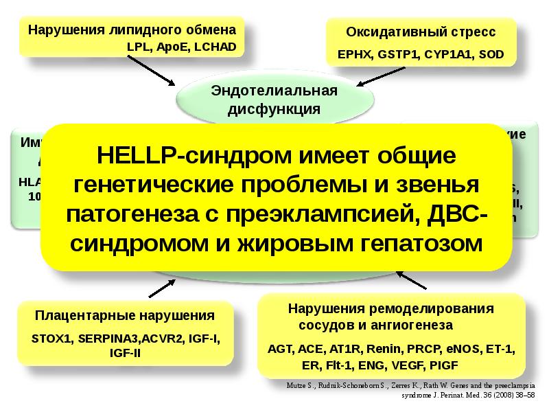 Hellp синдром в акушерстве презентация