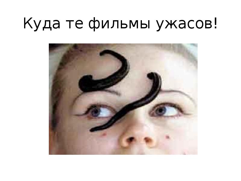 За уши пиявки схема