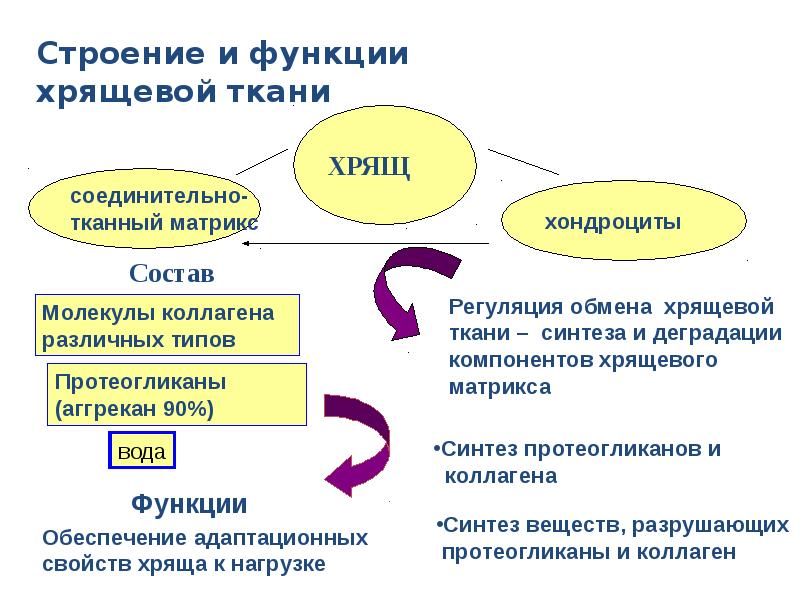 Презентация на тему артрозы