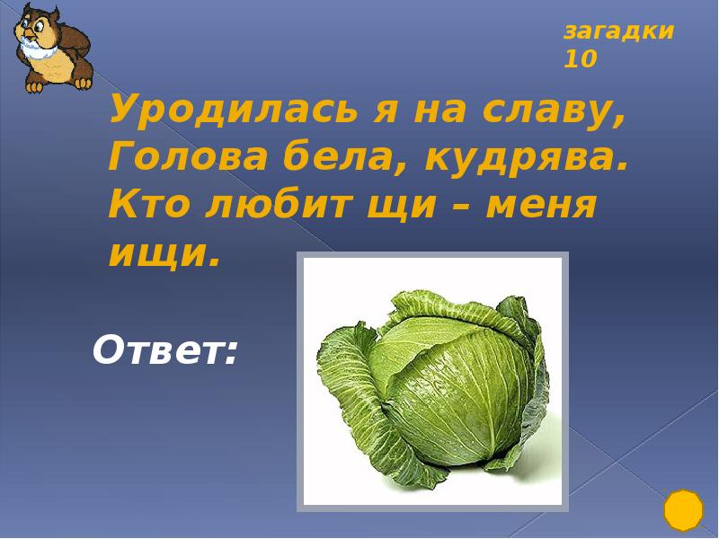 Загадки 10. 10 Загадок. Загадки 10 загадок. Загадка уродилась я на славу голова бела кудрява. Загадки для 5 класса с ответами сложные.