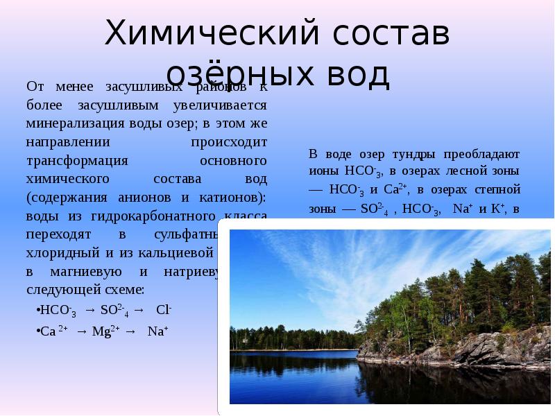 Лесные зоны воды. Химический состав воды. Вода в составе воды. Химический состав озера. Состав воды в процентах.