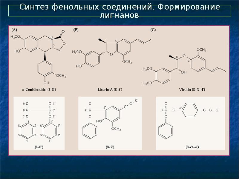 Фенольные соединения презентация