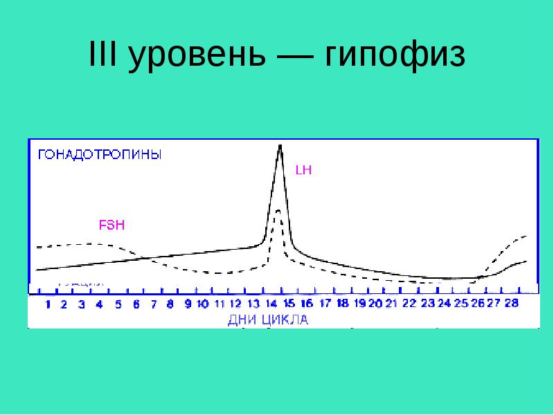 Дифертон поддержка женской репродуктивной системы.