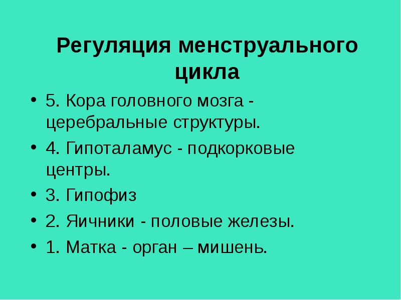 5 циклов