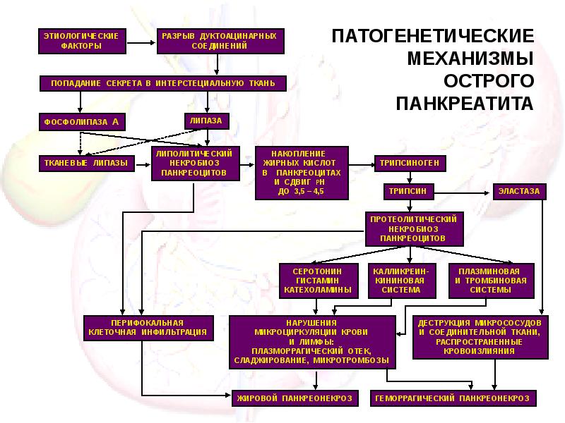 Острый панкреатит карта пациента