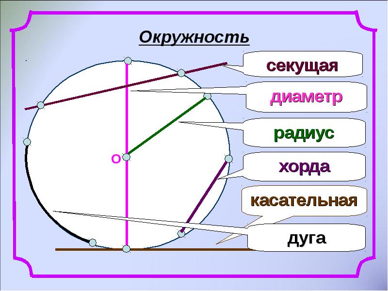 Окружность Окружность