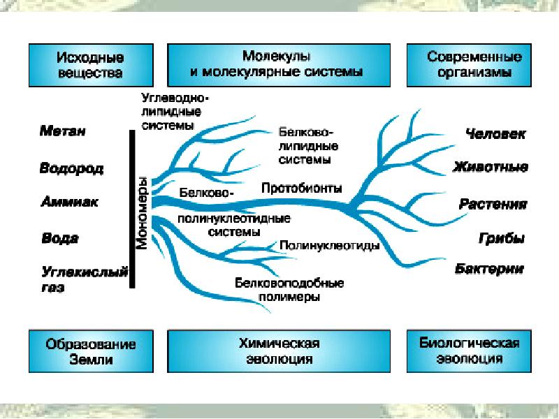 Возникновение жизни на земле биология 9 класс презентация