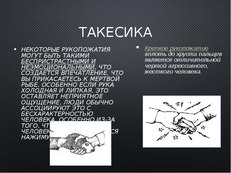 Такесика это