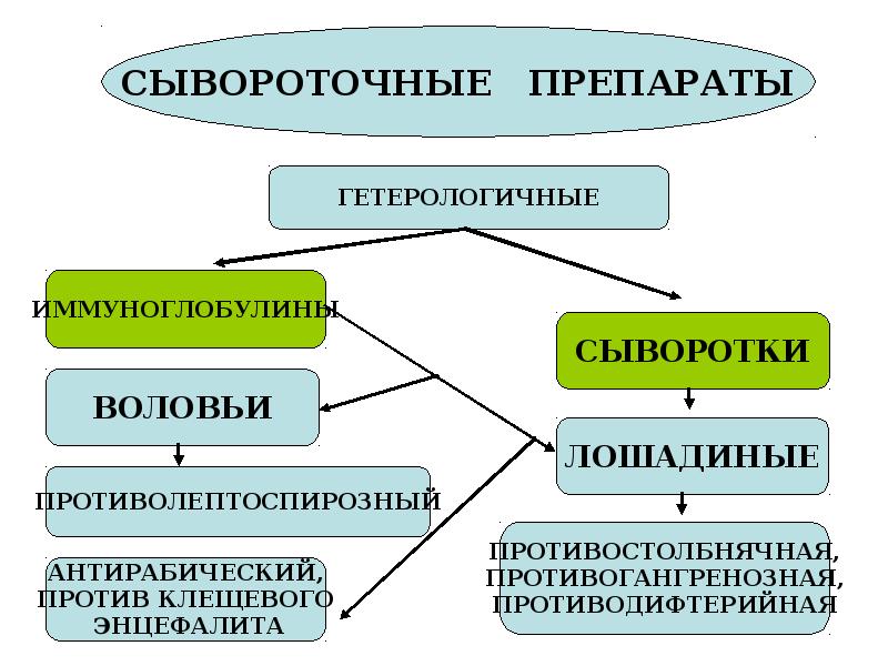 Сывороточные препараты презентация