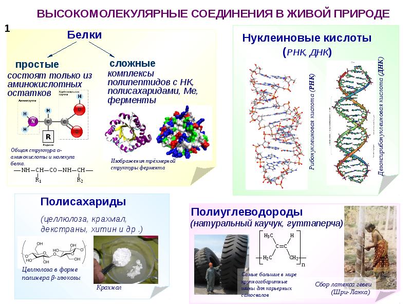 Химические свойства полимеров презентация