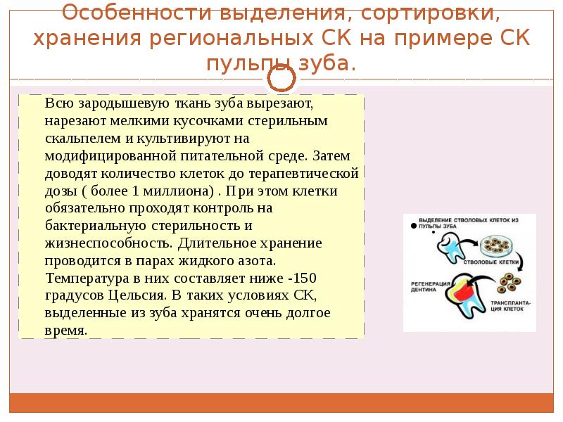 Сортировка выделением