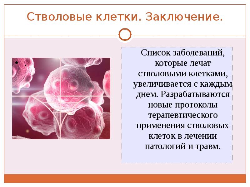 Что такое стволовые клетки простыми. Стволовые клетки презентация. Стволовые клетки это в биологии. Стволовых клеток презентация. Презентация на тему стволовые клетки.